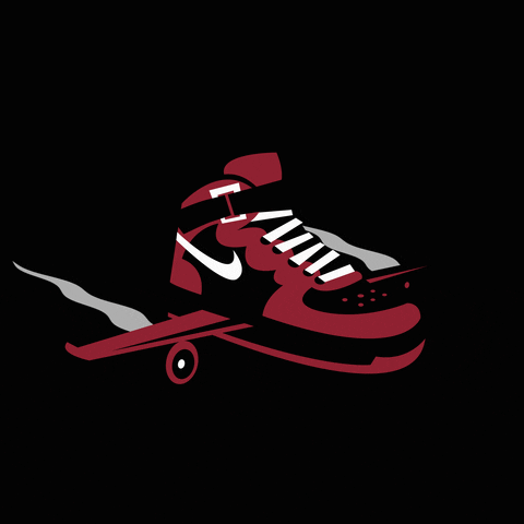 Sneakers GIF by Laceitapp