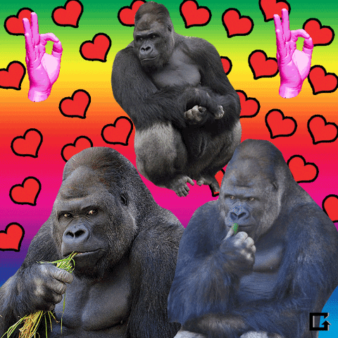 apes GIF by Animation Domination High-Def