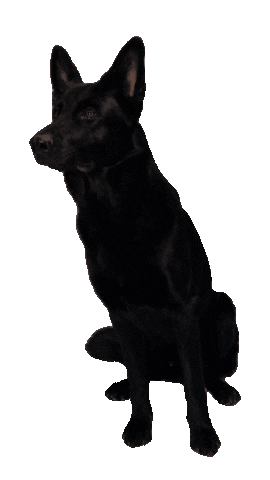 Michael Edermayer Sticker