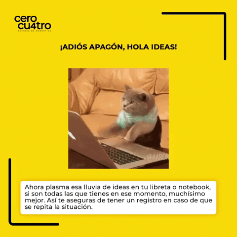 agenciacerocuatro GIF