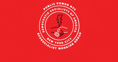 nycDSA dsa nycdsa public power public utilities GIF