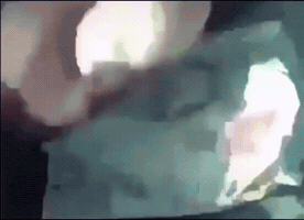 Burger GIF