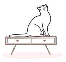 Cat Shanti Sticker by Taller Somos Luz