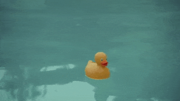 The End Pool GIF by Claire Rosinkranz