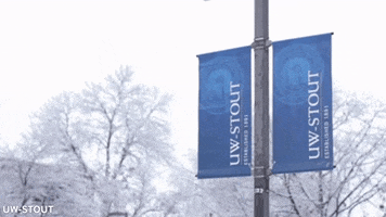 Blue Devils Snow GIF by University of Wisconsin-Stout