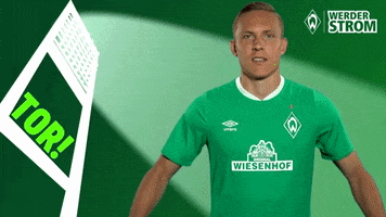 Ludwig Augustinsson Yes GIF by SV Werder Bremen