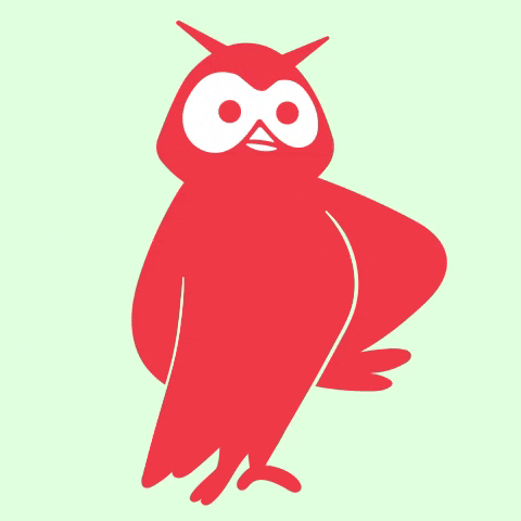 Mad Owl GIF by Hootsuite
