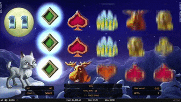 FreeSpinsInCasino GIF