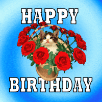 Happy Birthday Rose GIF - Happy Birthday Rose Flowers - Discover