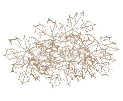 Platanos Cafe Sticker