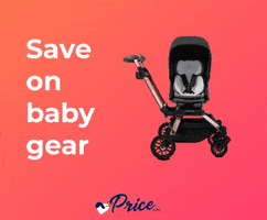 Save Car Seat GIF by price.com