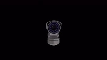 Gov Plates GIF