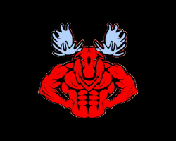 Moose Deadlift GIF by BDS