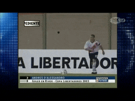 Dale Libertadores GIF by Sport Club Internacional