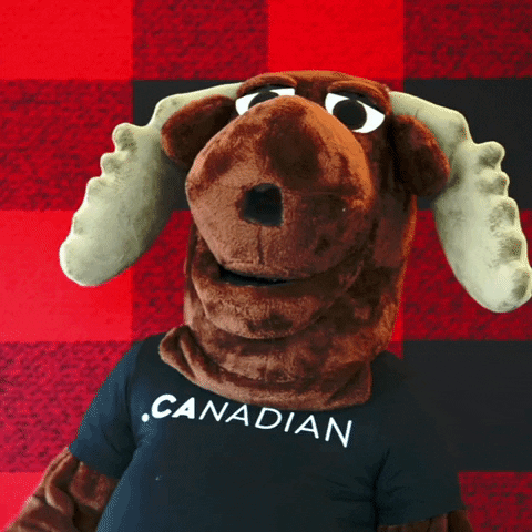 Sarcastic Canadian GIF by choose.ca