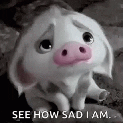 giphy.gif?cid=ecf05e47a1a5b4afeaa657b7b72a3209b18435dd8750861c&rid=giphy.gif