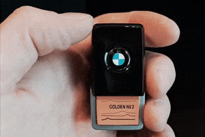 BMWNEFZGERLICIOUS GIF