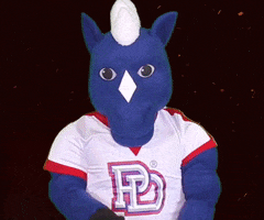 Looking At You GIF by Providence Day School