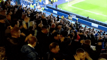 Fans GIF by Blackburn Rovers