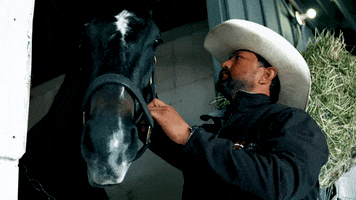 I Am Horse Racing GIF