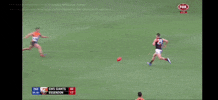 Ambrose GIF