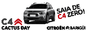 CitroenBarigui Sticker