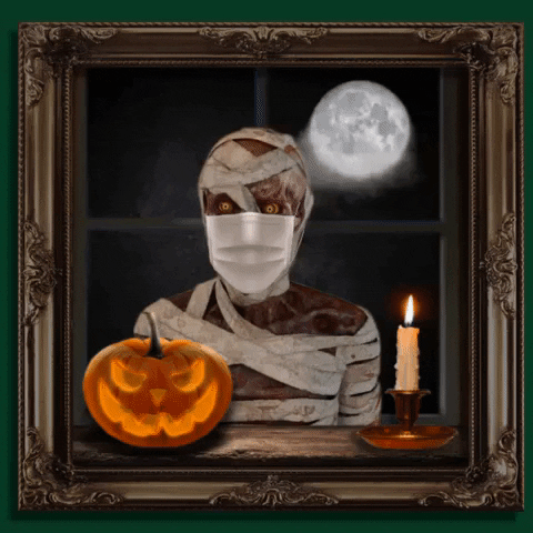Trick Or Treat Halloween GIF by What's the GIF