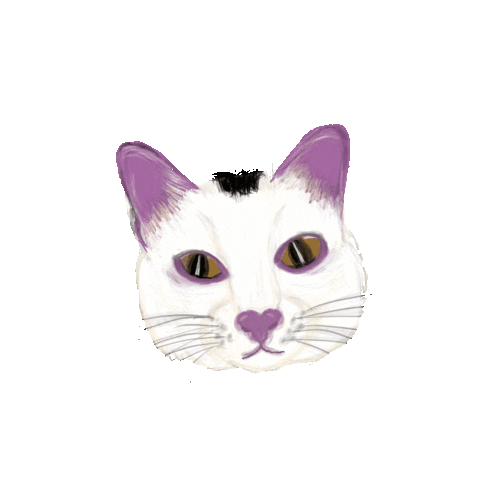 Cat Sticker