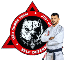 Equipe Tiao Gomes Sticker
