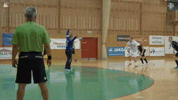 Happy Handball GIF by HCB Karviná