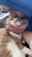 200.gif?cid=fc005b08a90d729dd65c1288517d58d940b735cc00083279&rid=200.gif&ct=g