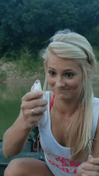 Bait Fish GIFs - Find & Share on GIPHY