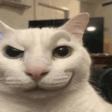 Pondphuwin GIF