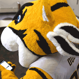 Fun College GIF by Towson University - Find & Share on GIPHY