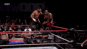 Take Down Cwfh GIF by United Wrestling Network