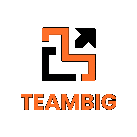 Teambig Sticker by Big Company