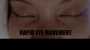Remsleep GIF