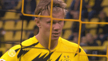 Borussia Dortmund GIF