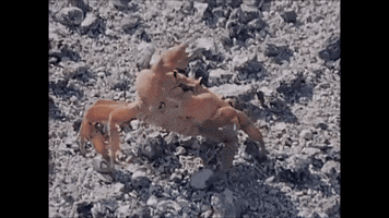 lateral arte 2 lateral tertulia GIF