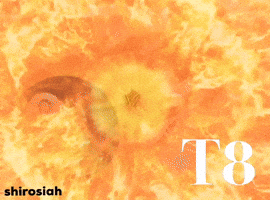 Northern Mariana Islands Pool GIF