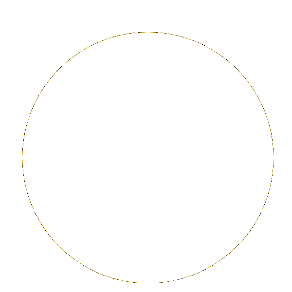 Vemcurtir Sticker by Festival de Jazz Manouche de Piracicaba