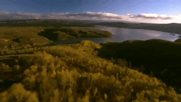 Engel & Völkers Salt Lake GIF