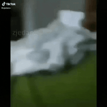 Elpepeposting GIF