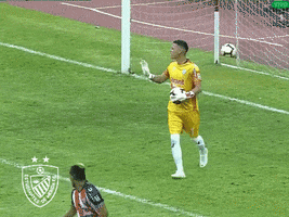 Saludos GIF