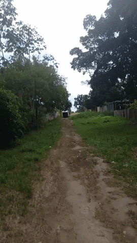 Arteduro GIF