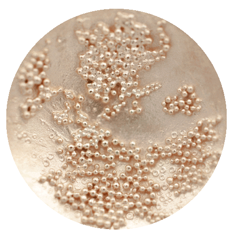 Elisabeth Habig Sticker