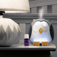 Diffusing Essential Oil GIF by Young Living Essential Oils