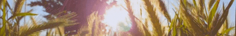 Sky Love GIF by Q Agency