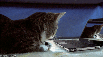 https://media1.giphy.com/media/UuIom9saJP5eg/200.gif