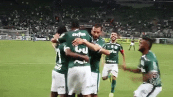 allianz parque goal GIF by SE Palmeiras